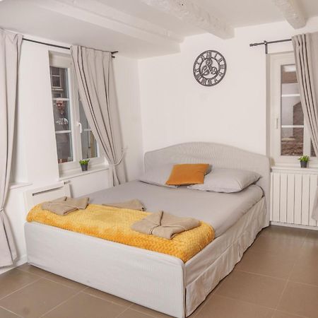 Appartement Au Coeur De Straatsburg Buitenkant foto